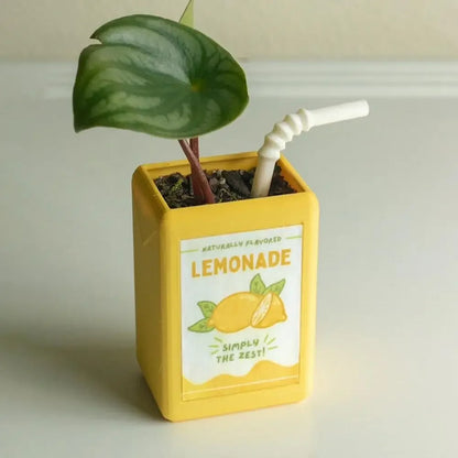 Juice Box Vase